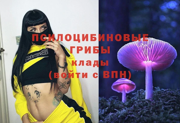 марки nbome Беломорск