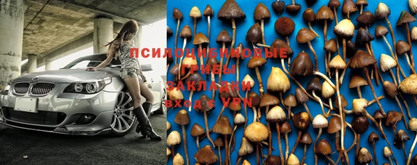 круглые Белокуриха