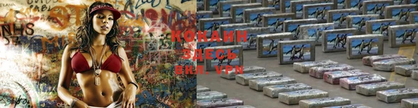 круглые Белокуриха