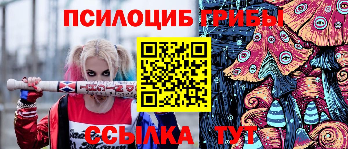 Галлюциногенные грибы прущие грибы Губаха