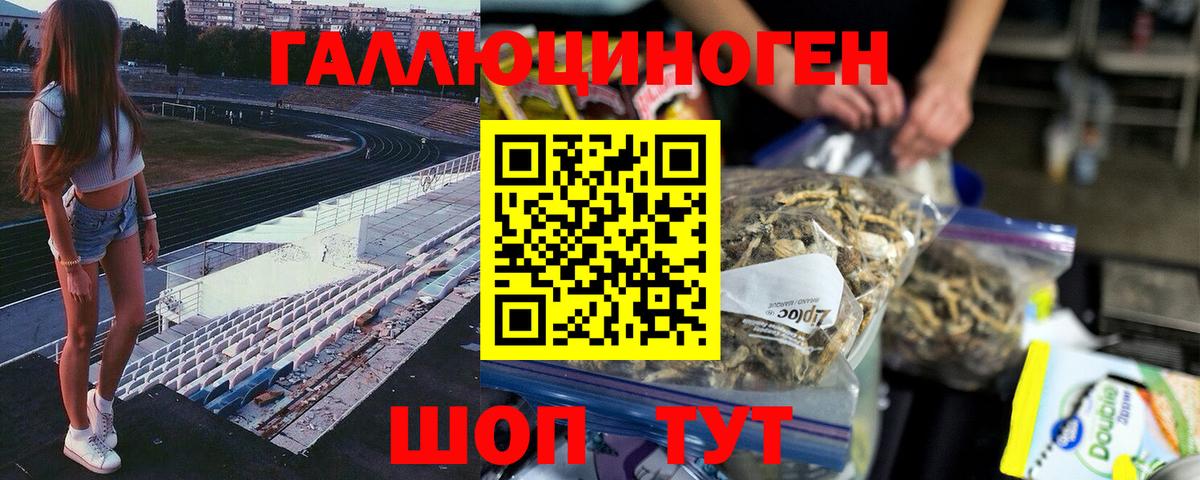 Псилоцибиновые грибы мицелий  дарнет шоп  Губаха  Вход с VPN 